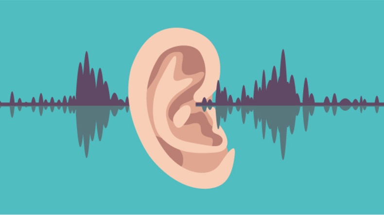 Soundwave through the human ear - Vector 