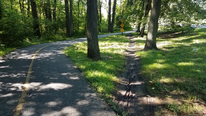 Woodland_Path