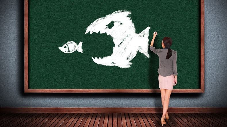 Businesswoman drawing The big fish eats the small fish on chalkboard