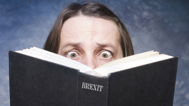 Brexit written on cover of book on blue background.. Mature woman being focused and hooked by book. - Image 