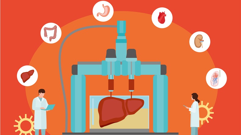 Concept of bioprinting of tissues and organs on red background. Colorful vector illustration in flat style. - Vector 