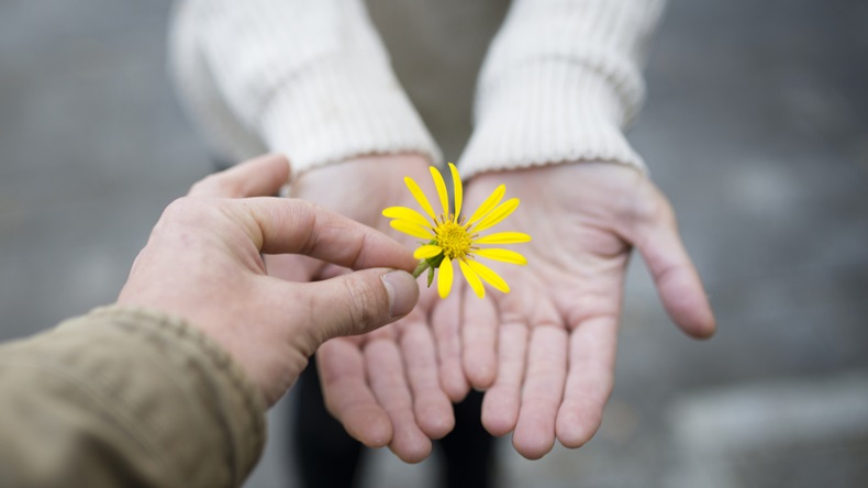 Man and woman hand over yellow flower - Image 