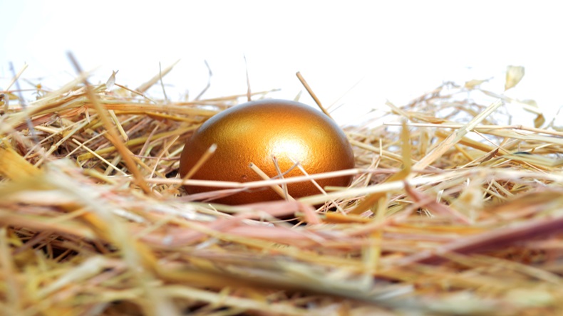 Golden egg on a bed of straw.