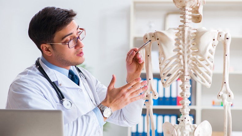 Male doctor with Skeleton