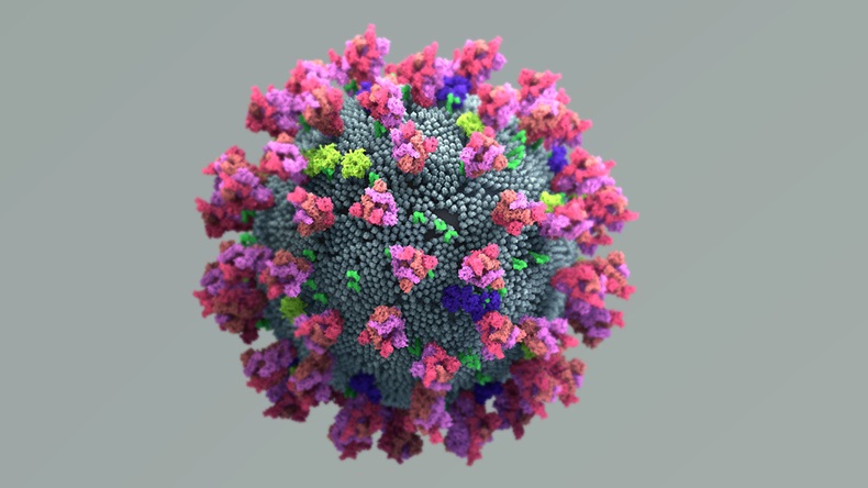 The coronavirus spike protein that mediates coronavirus entry into host cell