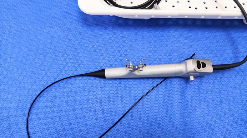 Fiberoptic Ureteroscope Using For Urological Procedures.