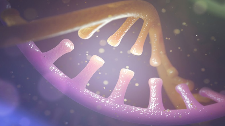 DNA & RNA