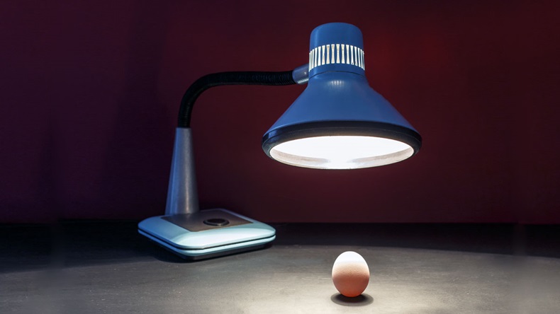 The lamp warms the egg of a new business idea. Picture is the concept of an incubator of ideas and creative method for startup
