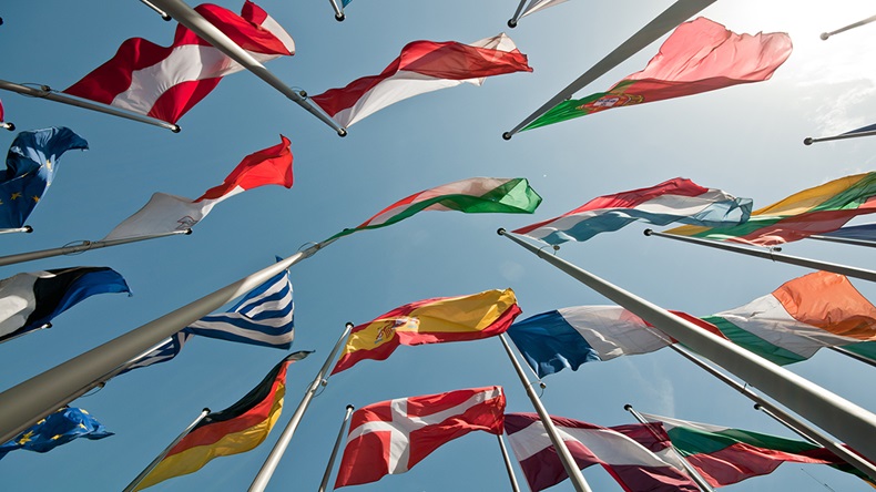 European flags (Markus Pfaff/Shutterstock.com)