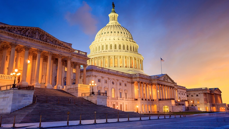 US Capitol, Washington DC (f11photo/Shutterstock.com)